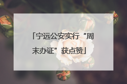 宁远公安实行“周末办证”获点赞