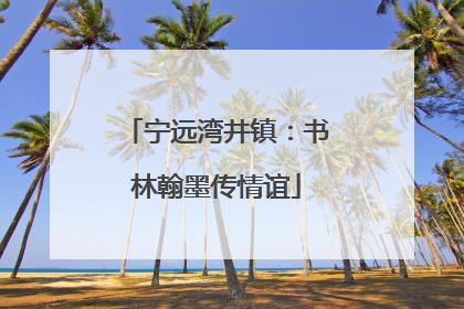 宁远湾井镇：书林翰墨传情谊