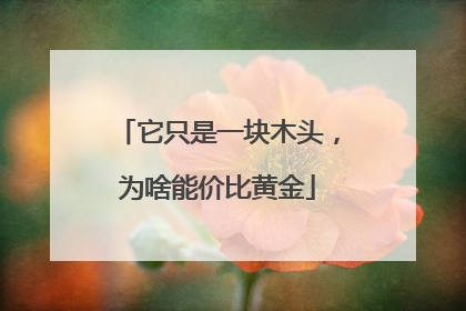 它只是一块木头，为啥能价比黄金