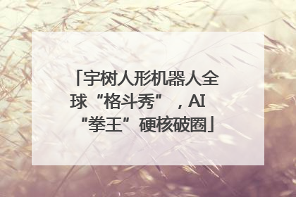 宇树人形机器人全球“格斗秀”，AI“拳王”硬核破圈