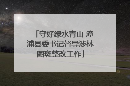 守好绿水青山 漳浦县委书记督导涉林图斑整改工作