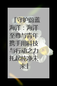 守护蔚蓝海洋：海洋至尊与青年携手用科技与行动之力托起纯净未来