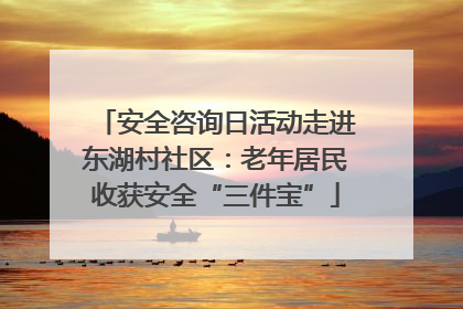 安全咨询日活动走进东湖村社区：老年居民收获安全“三件宝”