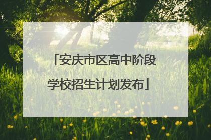 安庆市区高中阶段学校招生计划发布
