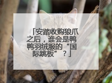 安踏收购狼爪之后，谁会是鸭鸭羽绒服的“国际跳板”？