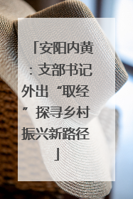 安阳内黄：支部书记外出“取经”探寻乡村振兴新路径