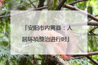 安阳市内黄县：人居环境整治进行时