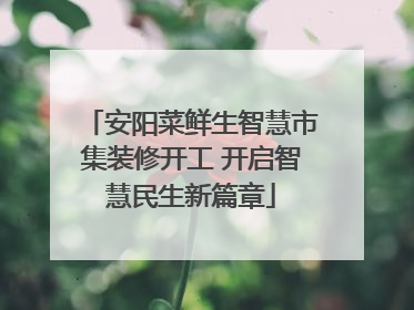 安阳菜鲜生智慧市集装修开工 开启智慧民生新篇章
