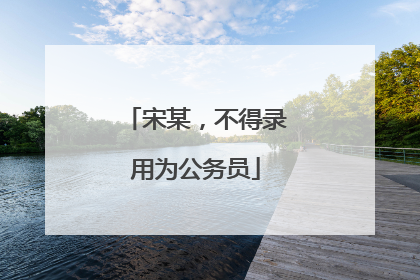 宋某，不得录用为公务员