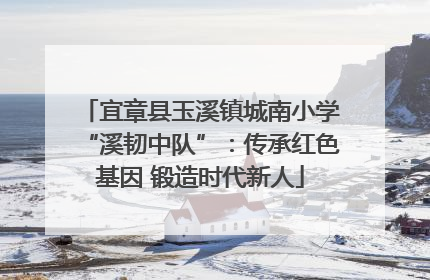 宜章县玉溪镇城南小学“溪韧中队”：传承红色基因 锻造时代新人