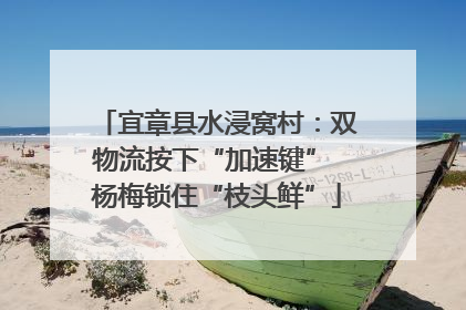 宜章县水浸窝村：双物流按下“加速键” 杨梅锁住“枝头鲜”