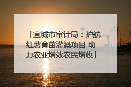 宜城市审计局：护航红薯育苗灌溉项目 助力农业增效农民增收