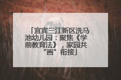 宜宾三江新区洗马池幼儿园：聚焦《学前教育法》，家园共“画”衔接