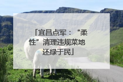 宜昌点军：“柔性”清理违规菜地 还绿于民