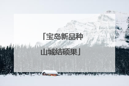 宝岛新品种 山城结硕果