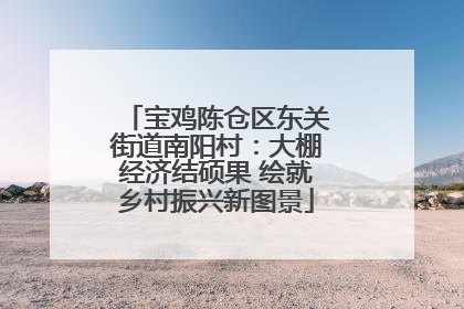 宝鸡陈仓区东关街道南阳村：大棚经济结硕果 绘就乡村振兴新图景