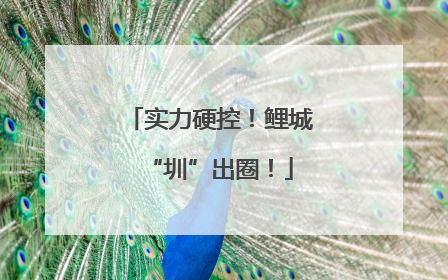 实力硬控！鲤城“圳”出圈！