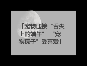 宠物迎接“舌尖上的端午” “宠物粽子”受喜爱