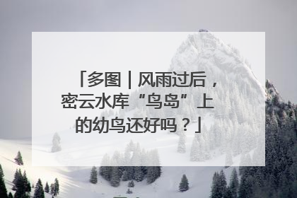 多图｜风雨过后，密云水库“鸟岛”上的幼鸟还好吗？