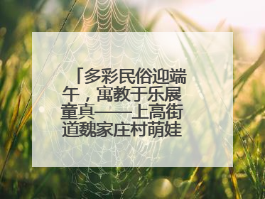 多彩民俗迎端午，寓教于乐展童真——上高街道魏家庄村萌娃传统文化盛宴