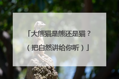 大熊猫是熊还是猫？（把自然讲给你听）