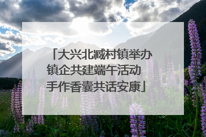 大兴北臧村镇举办镇企共建端午活动 手作香囊共话安康