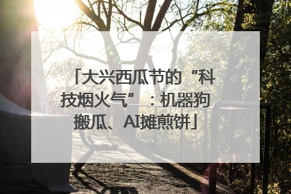 大兴西瓜节的“科技烟火气”：机器狗搬瓜、AI摊煎饼