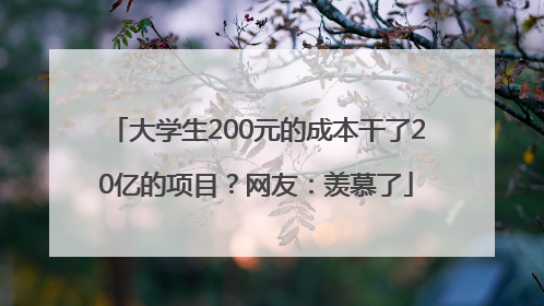 大学生200元的成本干了20亿的项目？网友：羡慕了