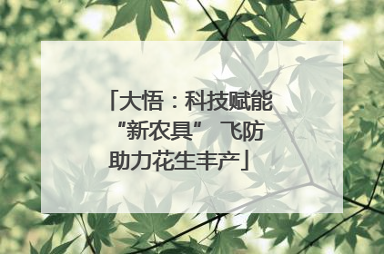 大悟：科技赋能“新农具” 飞防助力花生丰产