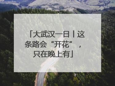 大武汉一日丨这条路会“开花”，只在晚上有