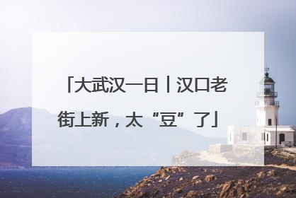 大武汉一日︱汉口老街上新，太“豆”了