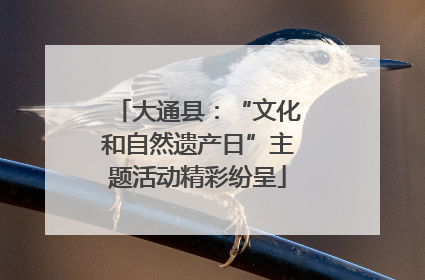 大通县：“文化和自然遗产日”主题活动精彩纷呈