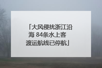 大风侵扰浙江沿海 84条水上客渡运航线已停航