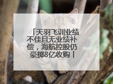 天羽飞训业绩不佳且无业绩补偿，海航控股仍豪掷8亿收购丨一周市场观察