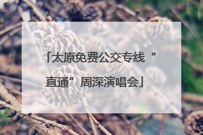太原免费公交专线“直通”周深演唱会