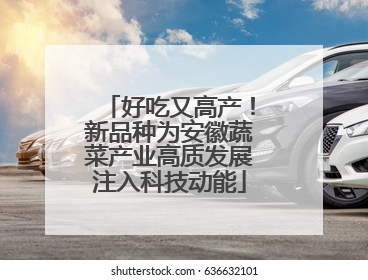好吃又高产！新品种为安徽蔬菜产业高质发展注入科技动能