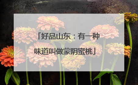 好品山东：有一种味道叫做蒙阴蜜桃