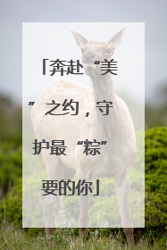 奔赴“美”之约，守护最“粽”要的你