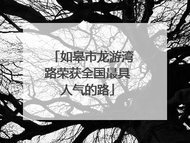 如皋市龙游湾路荣获全国最具人气的路