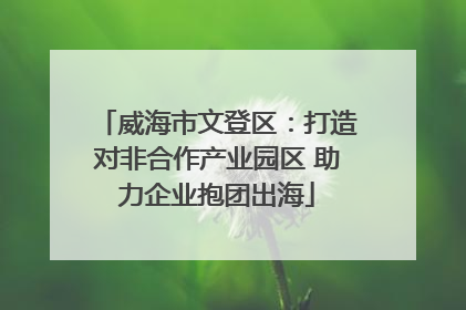 威海市文登区：打造对非合作产业园区 助力企业抱团出海
