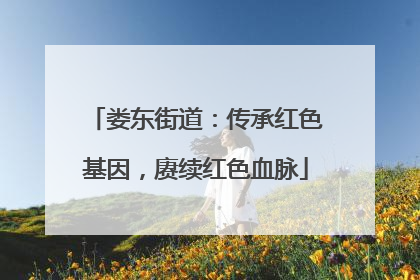 娄东街道：传承红色基因，赓续红色血脉
