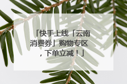 快手上线「云南消费券」购物专区，下单立减！