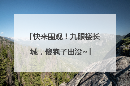 快来围观！九眼楼长城，傻狍子出没~