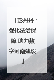 彭丹丹：强化法治保障 助力数字河南建设