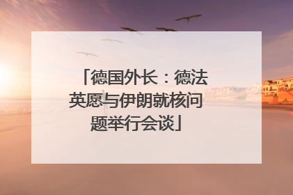 德国外长：德法英愿与伊朗就核问题举行会谈