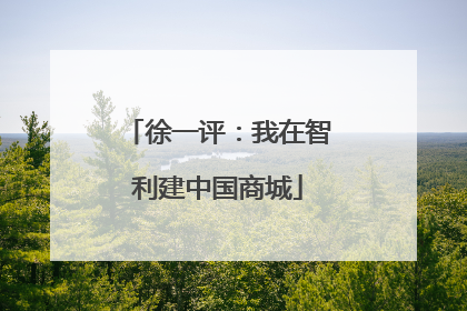 徐一评：我在智利建中国商城