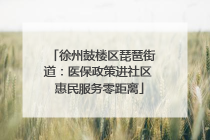 徐州鼓楼区琵琶街道：医保政策进社区 惠民服务零距离