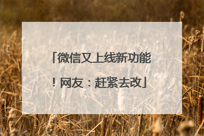 微信又上线新功能！网友：赶紧去改