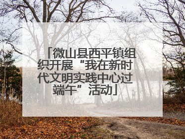 微山县西平镇组织开展“我在新时代文明实践中心过端午”活动