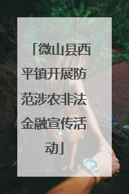 微山县西平镇开展防范涉农非法金融宣传活动